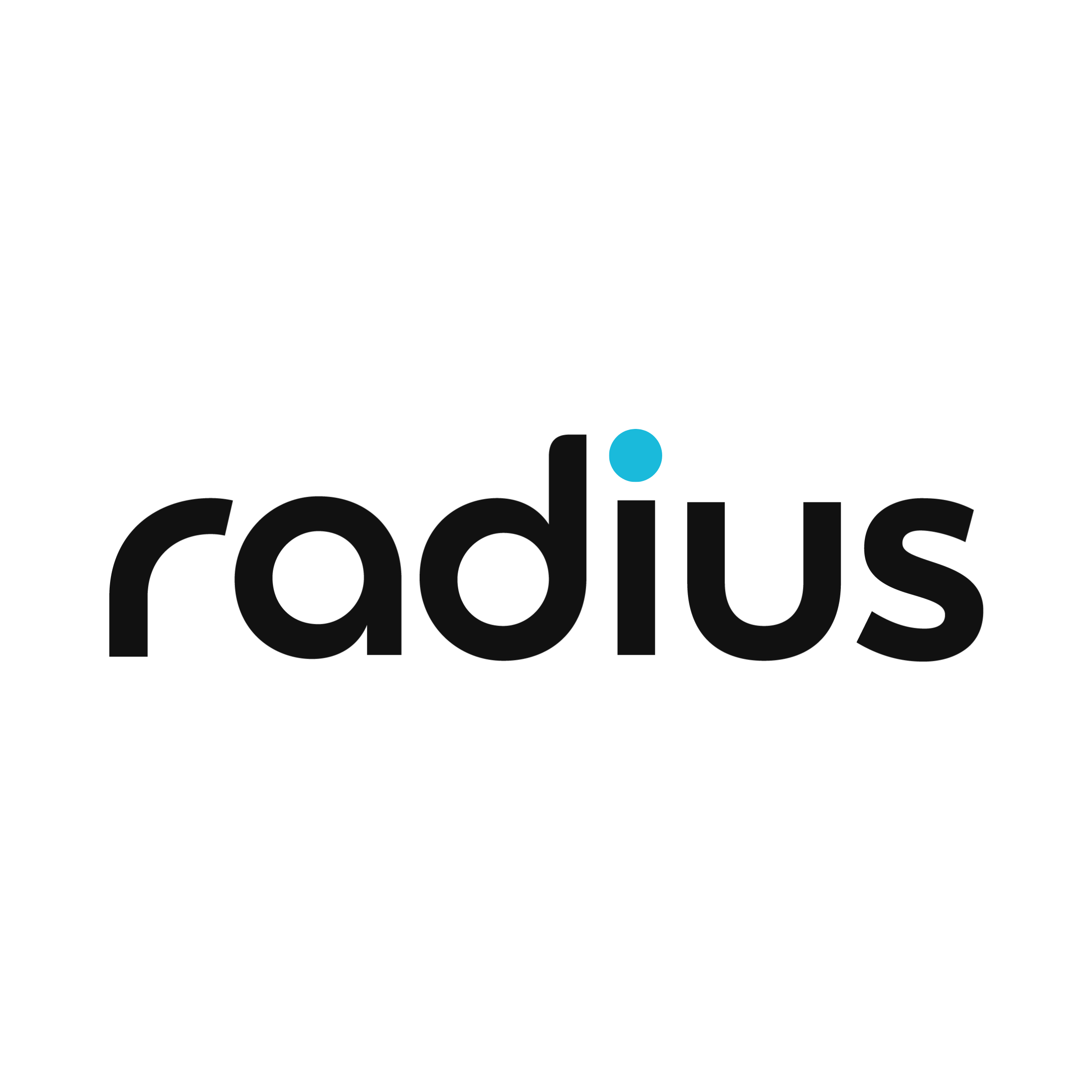 RADIUS WINDSHIELDS