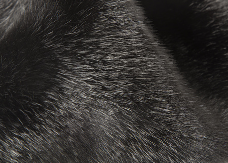 BUBBLEBEE INDUSTRIES The Piece-A-Fur - Black